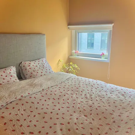 Daire Right By Alexander Kiellands Oslo